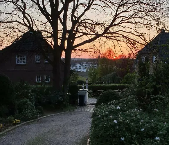 Amber * ゼーフェタール