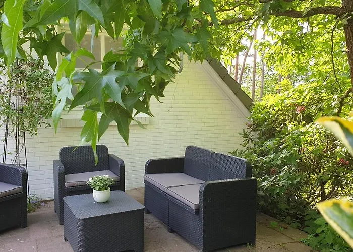 Amber ゼーフェタール